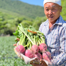 무주 반딧불 복숭아 순무 3kg(3~7과 : 무청포함)